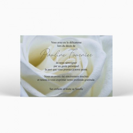 Carte de condoléances - Bouton de Rose